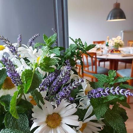 Fewo1846 - An Der Gaertnerei - Idylle Im Gruenen Mit 3 Schlafzimmern