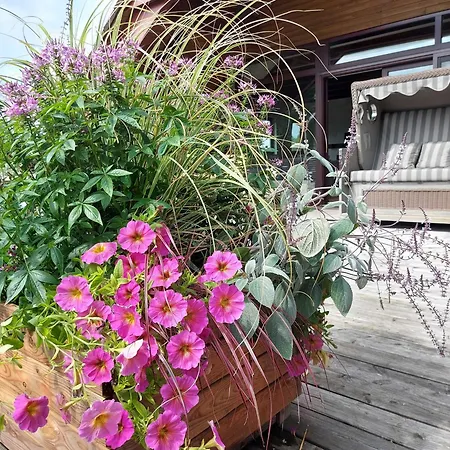 Lejlighed Fewo1846 - An Der Gaertnerei - Idylle Im Gruenen Mit 3 Schlafzimmern Gelting